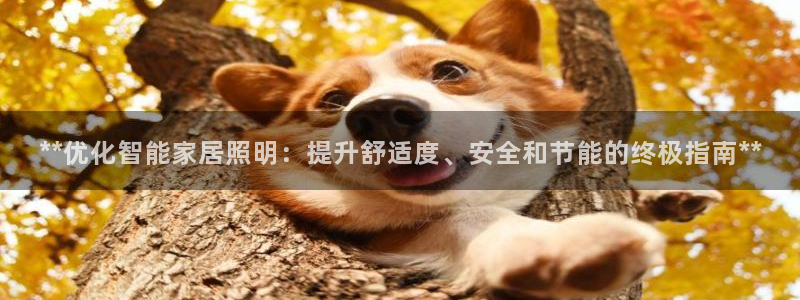 云顶国际ktv会所地址
