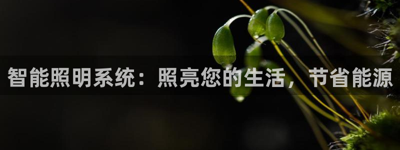 云顶国际下载