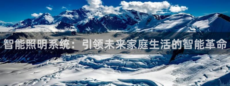 云顶集团简介概况