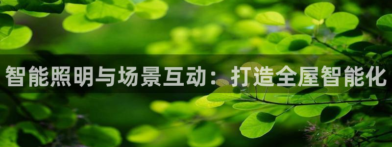 云顶集团专属APP
