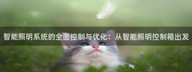 云顶集团网站多少