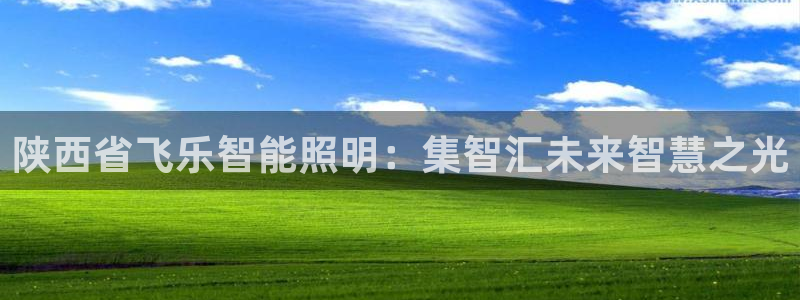云顶集团林志华简介