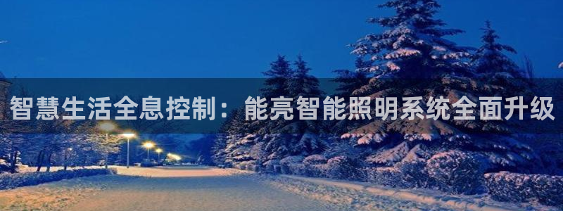 云顶国际服叫什么