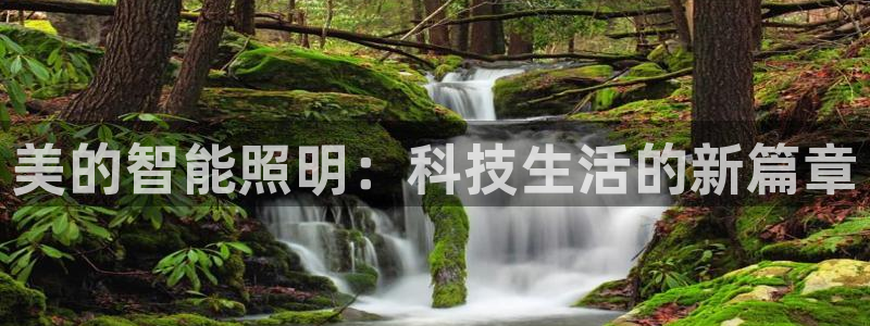 云顶集团 林国泰
