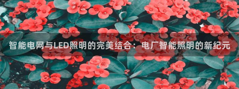 云顶国际取款多久到账