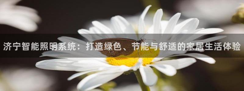 9559云顶国际