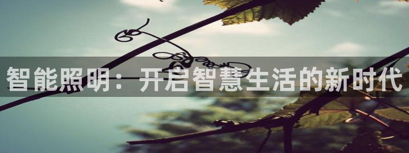 云顶国际测试服：智能照明：开启智慧生活的