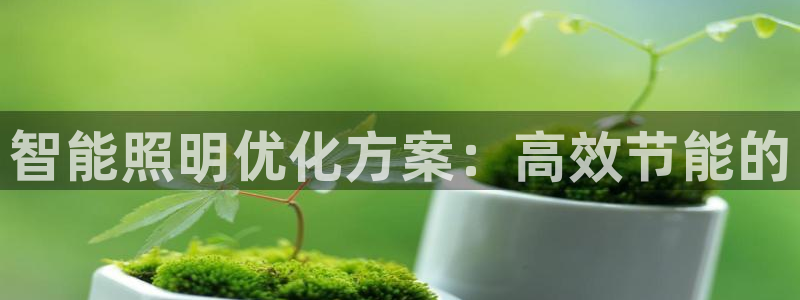 云顶国际官网唯一官方网站：智能照明优化方