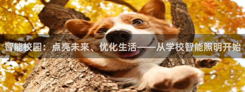 云顶国际俱乐部怎么样