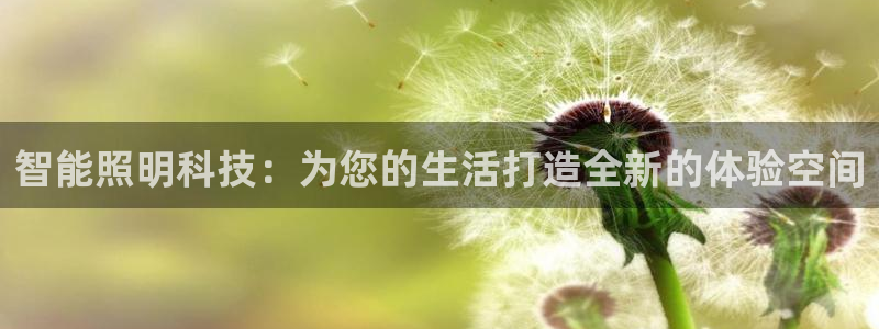 云顶国际百度百科下载