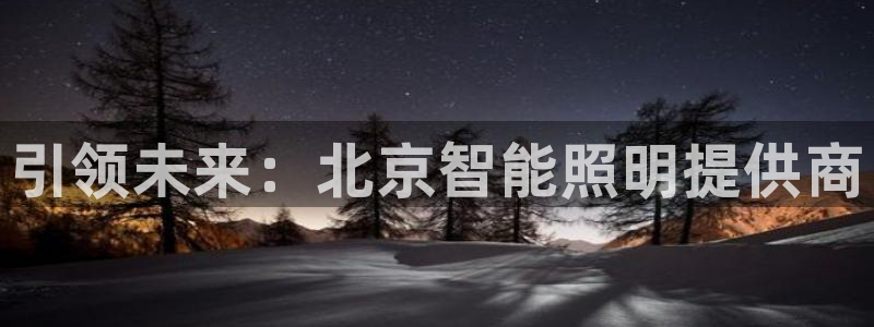 云顶集团林志华简介