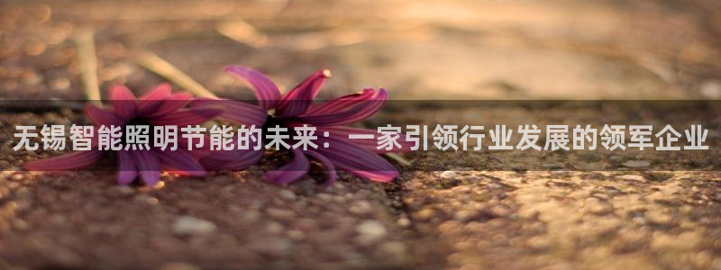 云顶国际百度百科