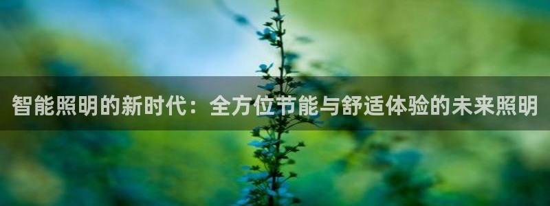 云顶最新调整