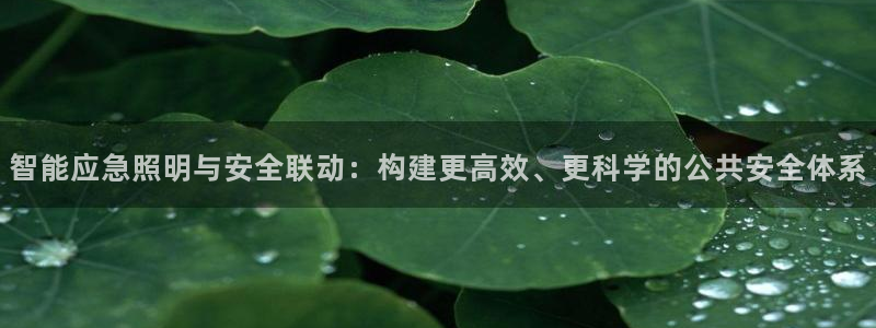 奉化云顶国际ktv