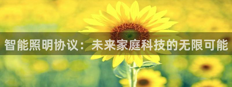 云顶国际足球app下载最新版