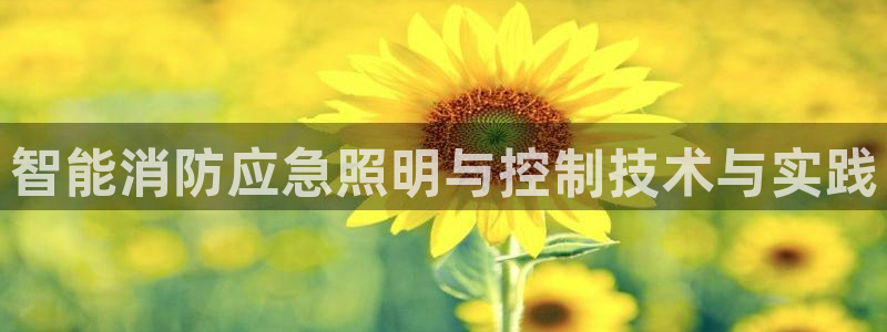 云顶集团公司官网