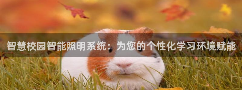 云顶集团3118