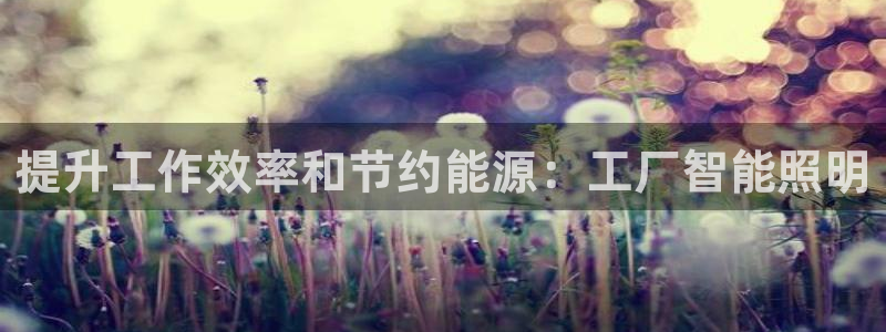 最新版云顶攻略