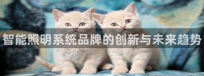 云顶国际黑网不出款怎么办