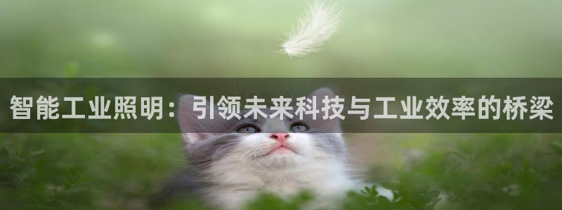 云顶国际官方网站下载手机版