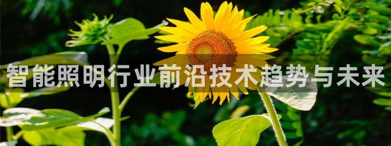 云顶国际停车费