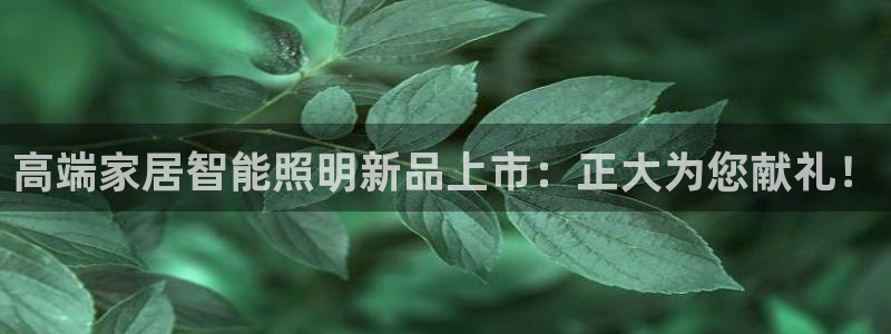 云顶集团简介和历史