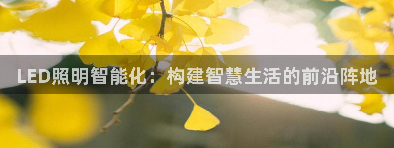 云顶国际电话号码