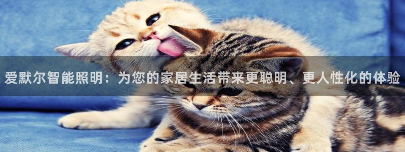 云顶国际怎么进不去了：爱默尔智能照明：为