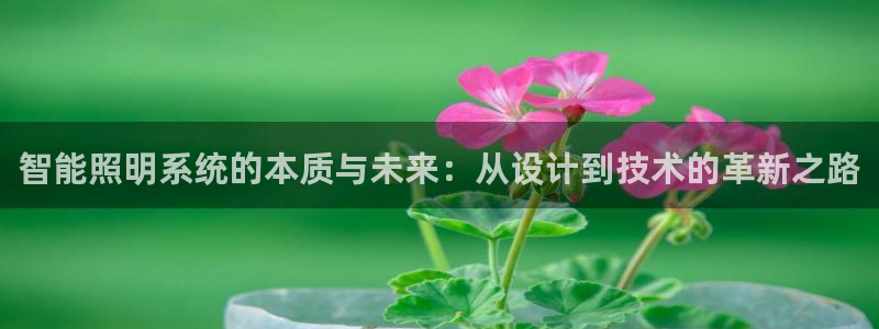 云顶国际图片