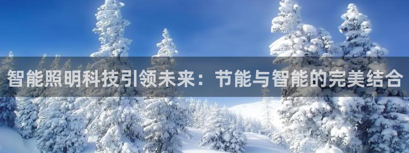 云顶国际提现不到账什么原因