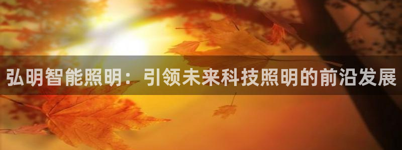 云顶集团公司董事长是谁