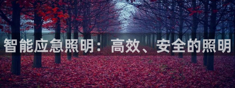 云顶国际酒店几星