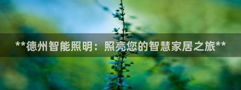 云顶国际中国官方网站入口