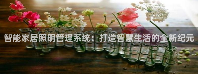 官网云顶电子游戏网站