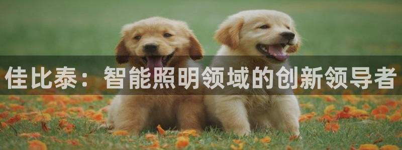 云顶集团介绍