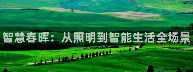 云顶集团公司 英文