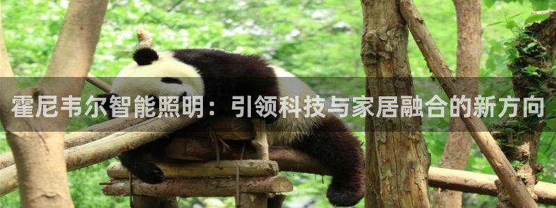 云顶国际公馆二手房