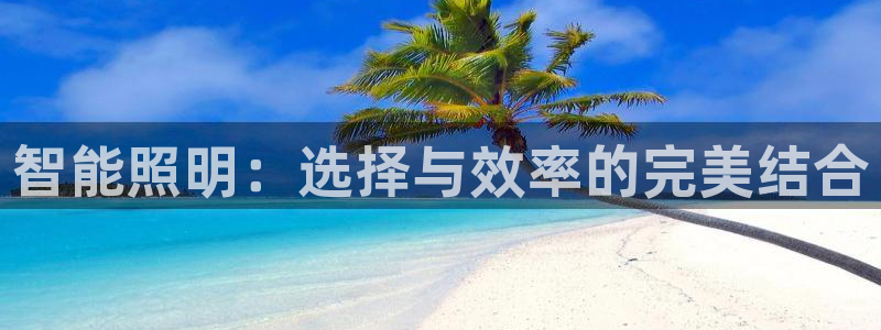 云顶国际平台app：智能照明：选择与效率