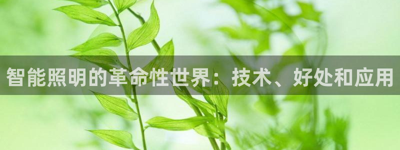 云顶国际足球app下载最新版：智能照明的