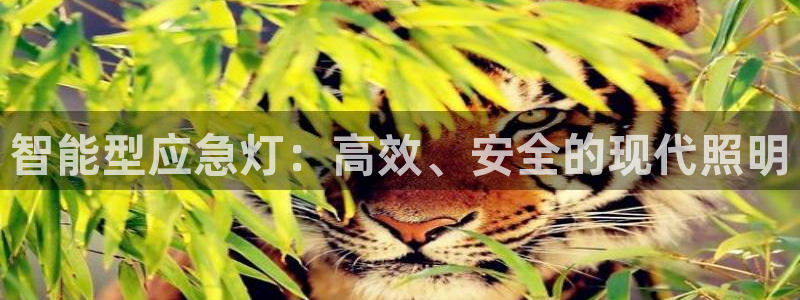 云顶集团游戏app特色