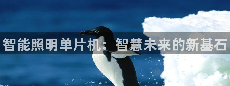 云顶国际城手机网址查询：智能照明单片机：