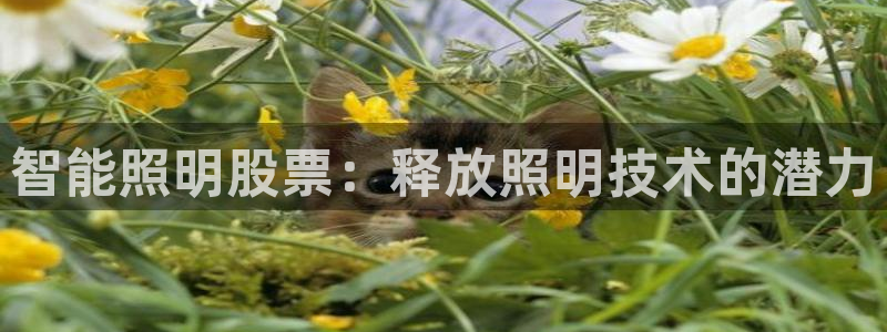 云顶国际创始人是谁啊