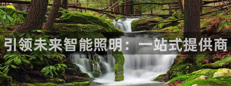 云顶国际酒店老板是哪里人：引领未来智能照